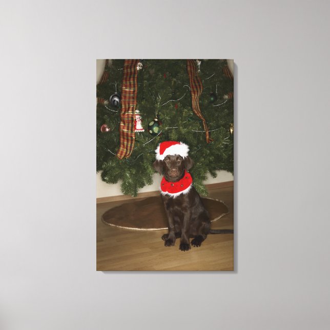 Toile Chien assis près d'un sapin de Noël (Recto)