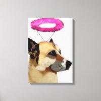 Chien avec Halo rose
