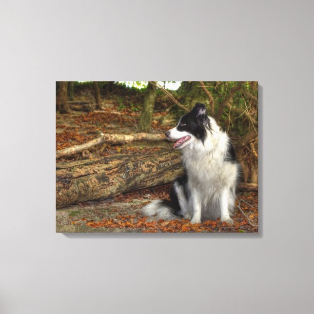 Toile Chien Border Collie dans une forêt automnale feuil (Recto)