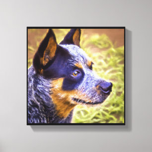 Toile Chien Bouvier Australien - Portrait de Chien