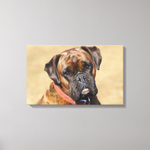 Toile Chien Brindle de boxeur