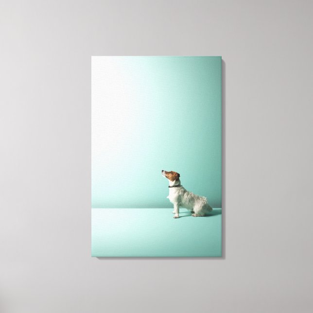 Toile chien cherchant dans l'espace (Recto)