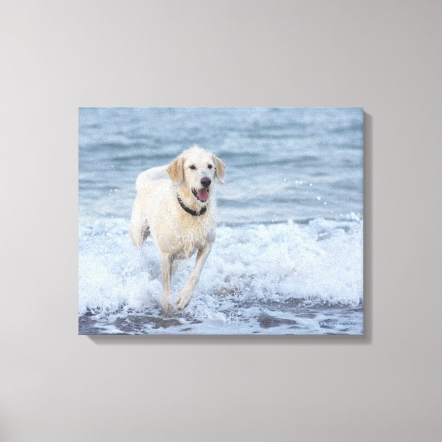 Toile Chien courant dans l'eau à la plage. (Recto)