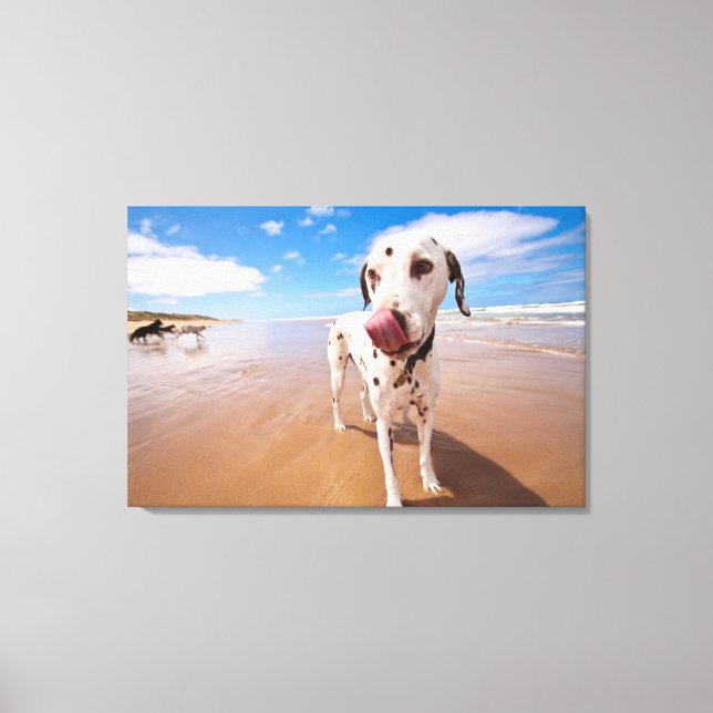 Toile Chien Dalmatien Sur La Plage (Recto)