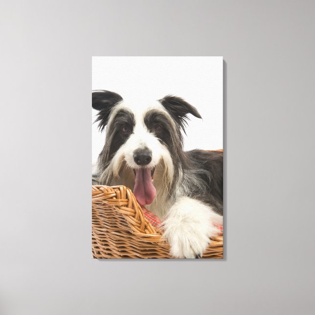 Toile Chien dans le panier 2 (Recto)