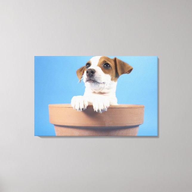 Toile Chien dans le pot de fleurs (Recto)