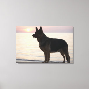 Toile Chien de berger allemand sur la baie géorgienne,