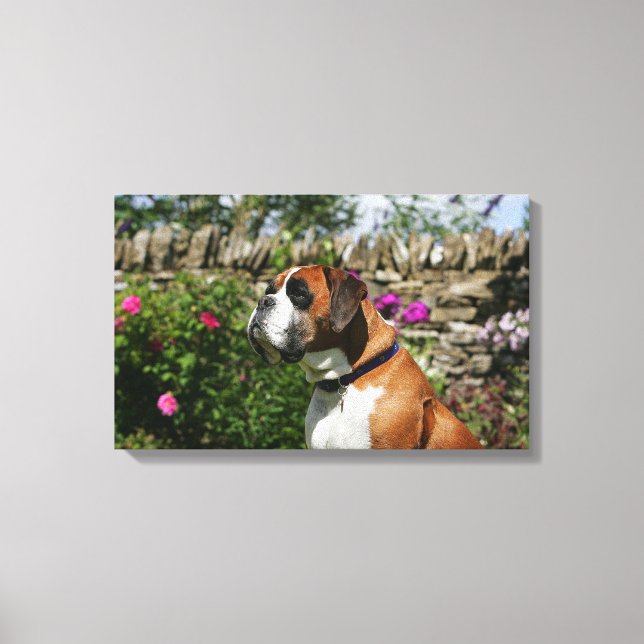 Toile Chien de boxe dans les fleurs (Recto)