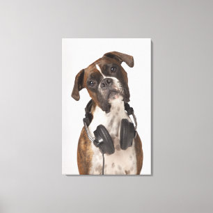 Toile chien de boxeur avec des écouteurs
