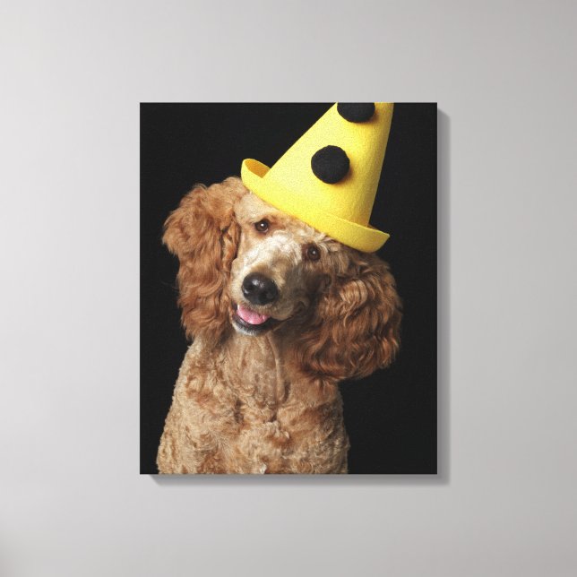 Toile Chien de caniche d'or portant un casquette de clow (Recto)