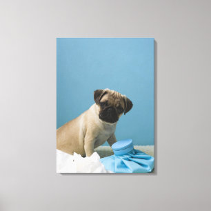 Toile chien de carlin assis sur le lit avec une bouteill