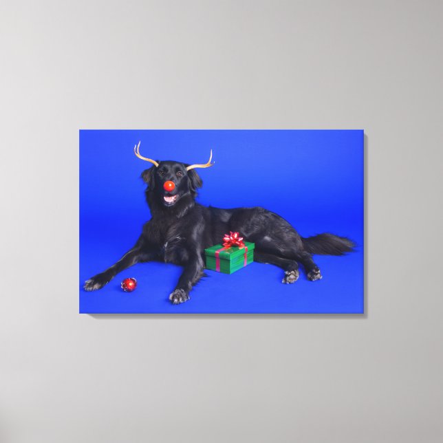 Toile Chien de Noël (Recto)