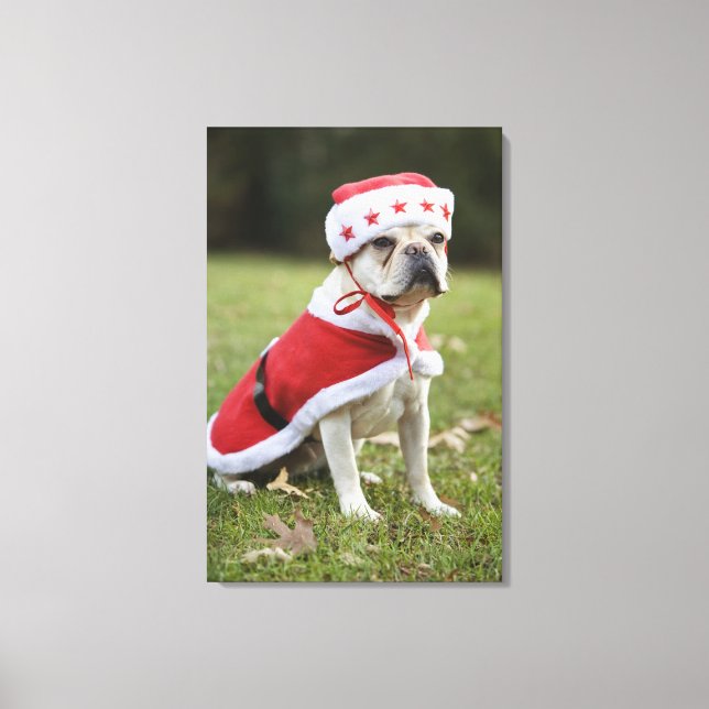 Toile Chien en costume de vacances (Recto)