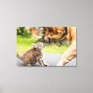 Toile Chien et chat des images   de Getty dans l'amour