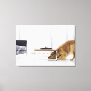 Toile Chien et table