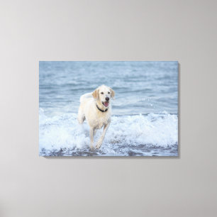 Toile Chien fonctionnant dans l'eau à la plage