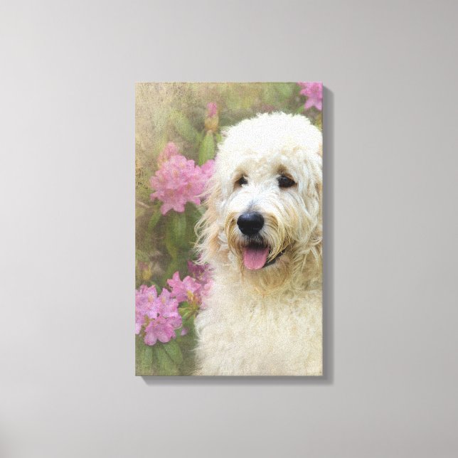 Toile chien goldendoodle blond dans le jardin (Recto)