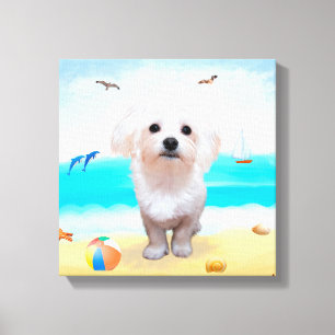 Toile Chien maltais sur la plage