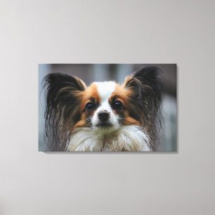 Toile Chien mignon de papillon