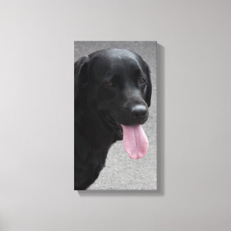 Toile Chien noir