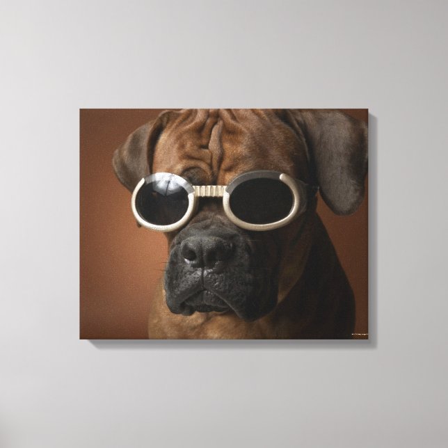 Toile Chien portant des lunettes de soleil (Recto)