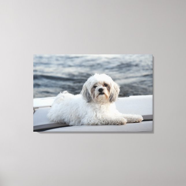 Toile Chien posé au bord de l'eau (Recto)