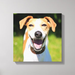 Toile Chien riant des images de Getty