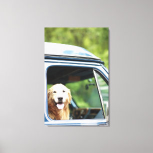Toile Chien se reposant dans la voiture
