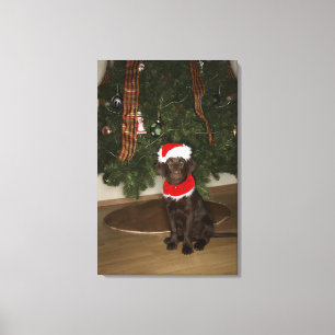 Toile Chien se reposant par un arbre de Noël