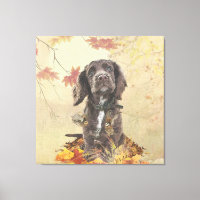 Chien spaniel spaniel cocker au chocolat