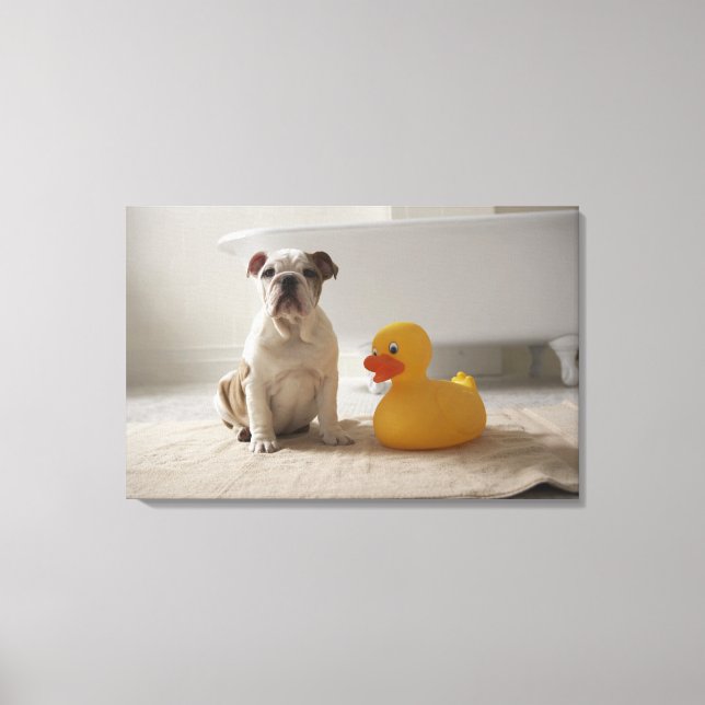 Toile Chien sur tapis avec canard en plastique (Recto)