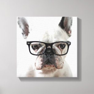 Toile Chien-taureaux français portant des lunettes d'oei
