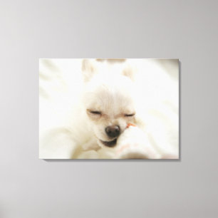 Toile Chien tenant le jouet dans la bouche