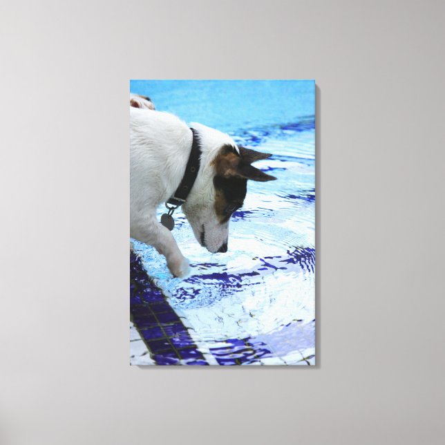 Toile Chien touchant l'eau à la piscine (Recto)