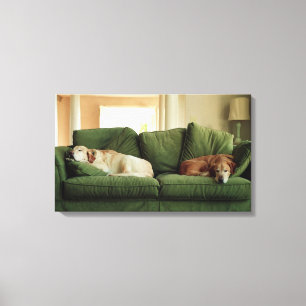 Toile Chiens dormant sur le sofa