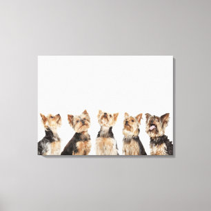 Toile Chiens identiques se reposant ensemble
