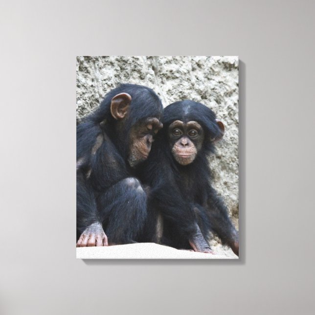 Toile Chimpanzé 002 (Recto)