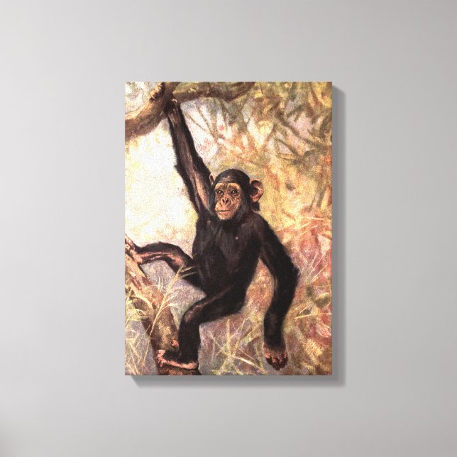Toile Chimpanzé par CE Swan, Animaux sauvages de la jung (Recto)