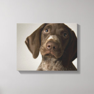 Toile Chiot allemand d'indicateur aux cheveux courts