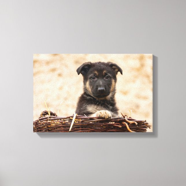 Toile Chiot Allemand En Panier (Recto)