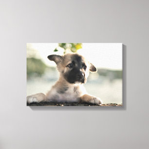 Toile Chiot allemand sur la corniche