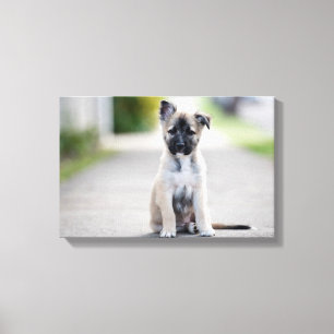 Toile Chiot allemand sur le sentier de randonnée
