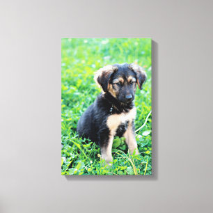 Toile Chiot de berger allemand