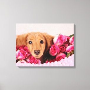 Toile Chiot de Dachshund Entouré de Roses