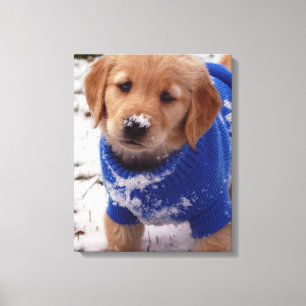 Toile Chiot de golden retriever