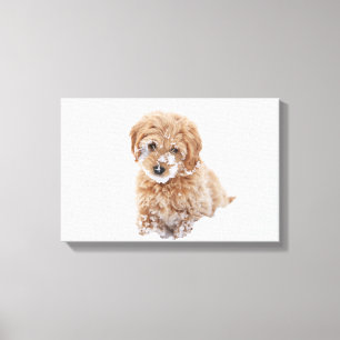 Toile Chiot De Goldendoodle Avec La Neige À La Face