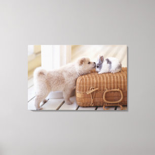 Toile Chiot et lapin
