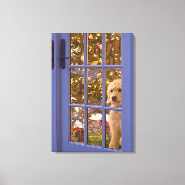 Toile Chiot Golden Doodle avec vue sur la porte en verre (Recto)