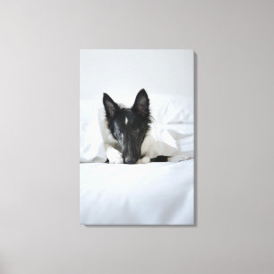 Toile Chiot noir et blanc dans le lit avec l'os