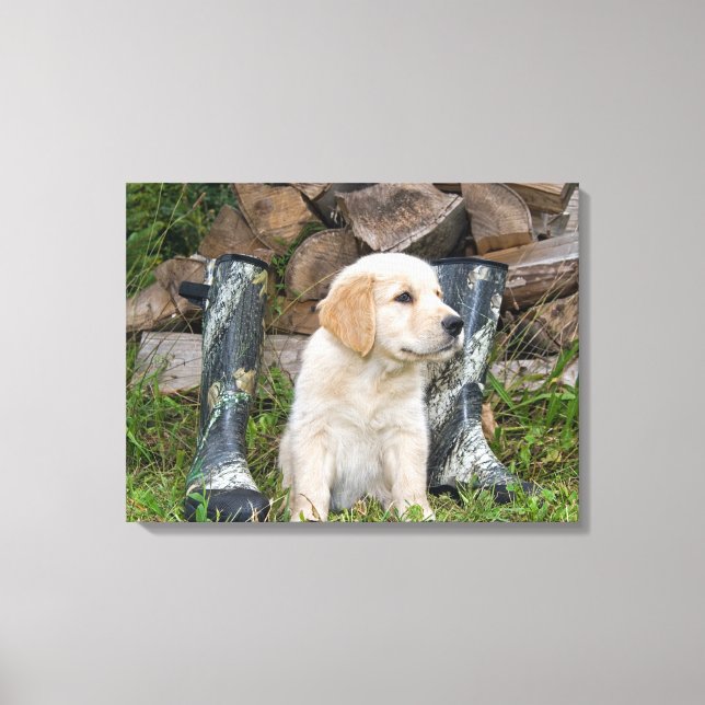 Toile chiot retriever doré avec des bottes (Recto)